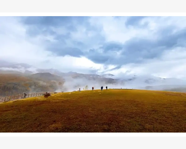 推拿还是艾灸，哪种更适合你？